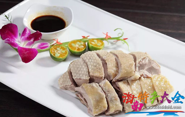 嘉積鴨 海南嘉積鴨