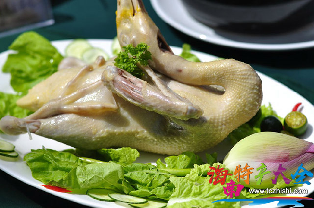 嘉積鴨 海南嘉積鴨