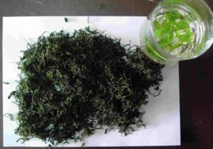 海南有什么特產(chǎn)茶葉