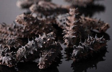 干海參 海南干海參