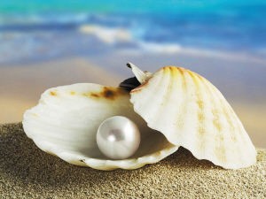 海南珍珠 海南珍珠