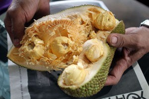 菠蘿蜜 海南熱帶水果有哪些?