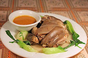 海南永發(fā)乳羊