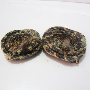 海蛇干 海南海蛇干