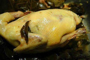 儋州黃皮雞 儋州黃皮雞