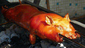 臨高乳豬 臨高乳豬