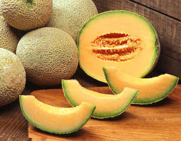 西州蜜瓜 西州蜜瓜