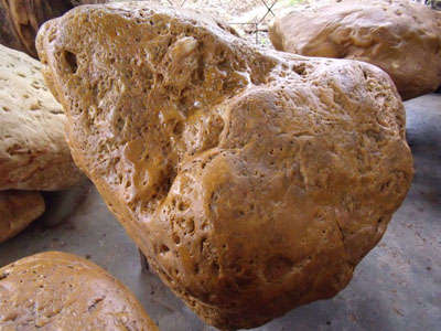 海南黃蠟石 海南黃蠟石