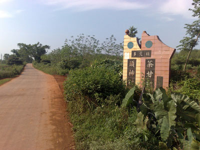 多文鎮頭神村 多文空心菜