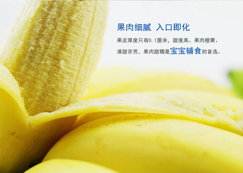 海南皇帝蕉 海南皇帝蕉