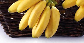 海南皇帝蕉 海南皇帝蕉