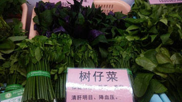 海南樹(shù)仔菜 海南樹(shù)仔菜