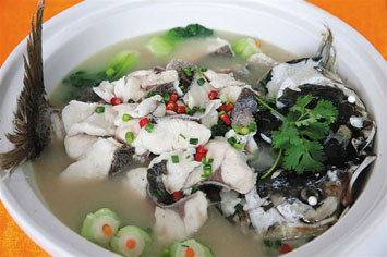 松濤鳙魚 松濤鳙魚