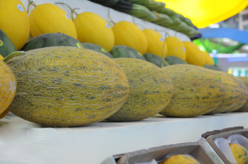 超市貨架擺放的佛羅鎮哈密瓜(圖) 超市貨架擺放的佛羅鎮哈密瓜(圖)