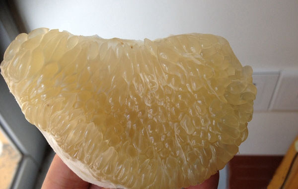 無籽蜜柚 屯昌蜜柚