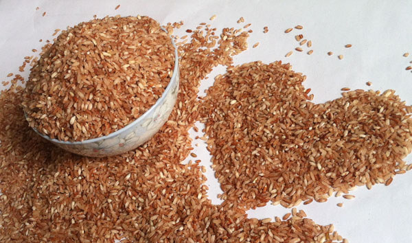 儋州東坡紅米 東坡紅米