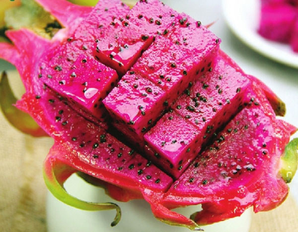 火龍果 海南熱帶水果有哪些?