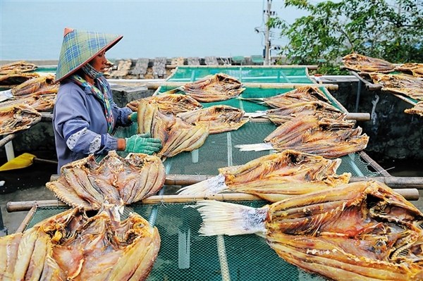 儋州紅魚干 儋州地理標志商標產品(圖)