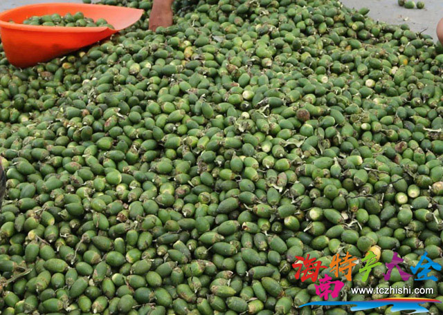 海南檳榔價格行情(2021年11月22日)