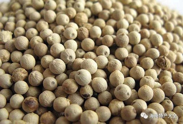 白胡椒 海南胡椒價格參考一覽表(2021年4月19日)