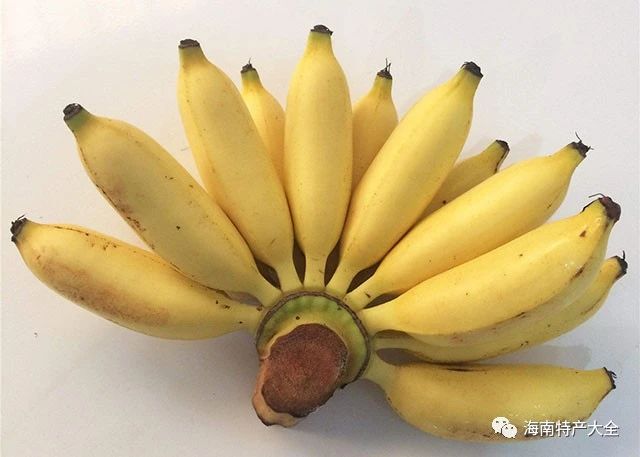 海南皇帝蕉 海南皇帝蕉交易價格行情(2021年6月30日)