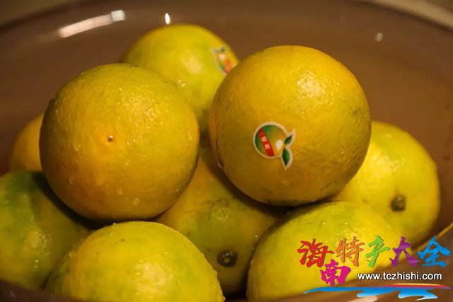 臨高皇橙 臨高皇橙