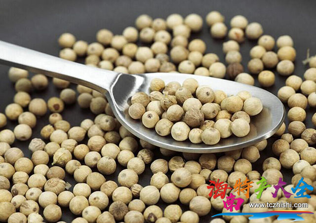 海南最值得帶的特產有哪些，你買對了嗎？