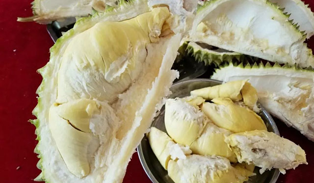 海南種植榴蓮的果肉 海南榴蓮種植面積多少畝?普通農民能大規模種植嗎?