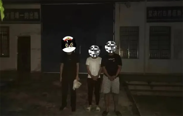 屯昌2男子偷檳榔苗到自家地種？拘了！