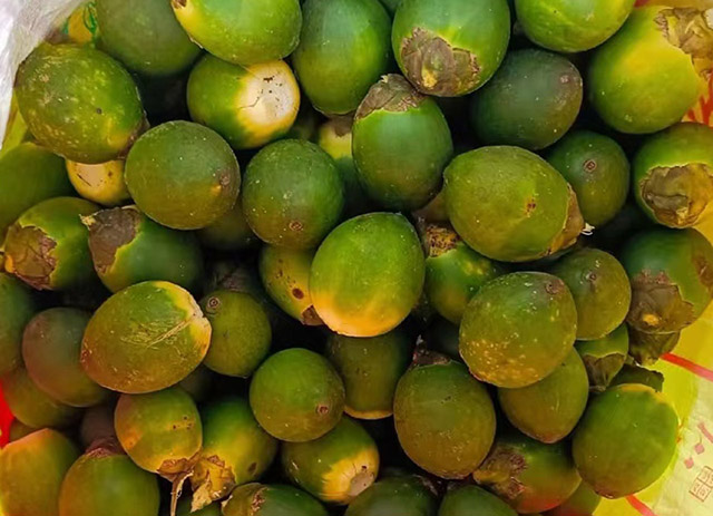 海南檳榔收購價格行情信息參考(2025年12月7日)