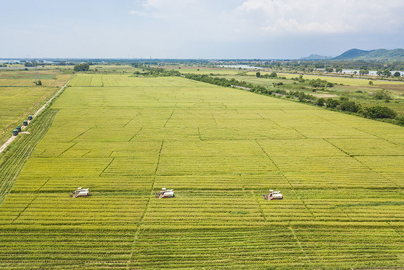 我國耕地保護知識問答(第一期)