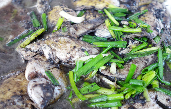 扁豆醬燜海魚 扁豆醬燜海魚