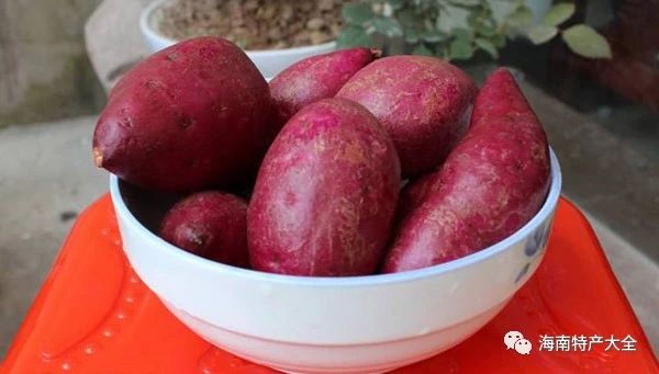 澄邁橋頭地瓜 海南常見(jiàn)的地瓜品牌介紹,你都吃過(guò)哪些?
