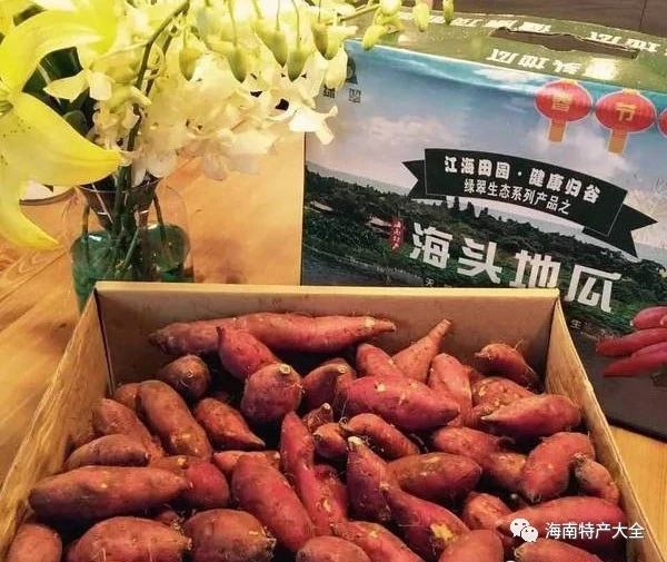 海頭地瓜 海南常見(jiàn)的地瓜品牌介紹,你都吃過(guò)哪些?