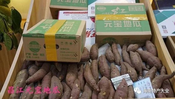 昌江元寶地瓜 海南常見(jiàn)的地瓜品牌介紹,你都吃過(guò)哪些?