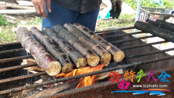 烤甘蔗 海南火烤甘蔗,竟出奇的好吃!