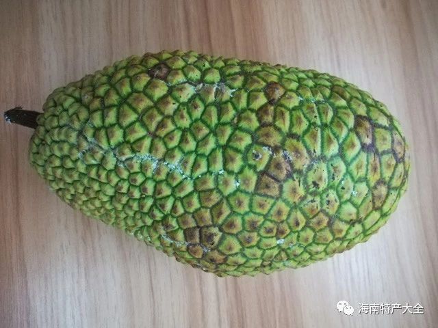 榴蓮蜜 海南6月上市水果介紹,有你沒(méi)吃過(guò)的嗎?