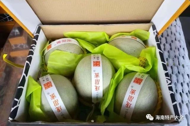 玫瓏蜜瓜 海南玫瓏蜜瓜