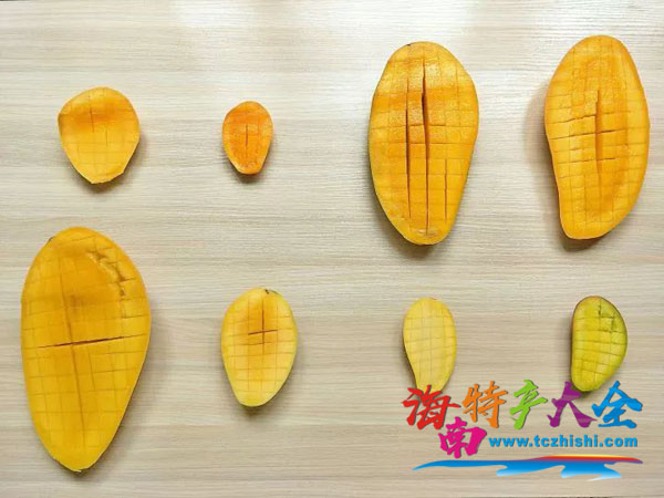 芒果 海南各品種芒果上市時間,愛芒人士請收藏