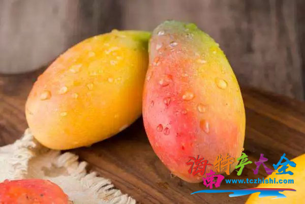 貴妃芒 海南芒果
