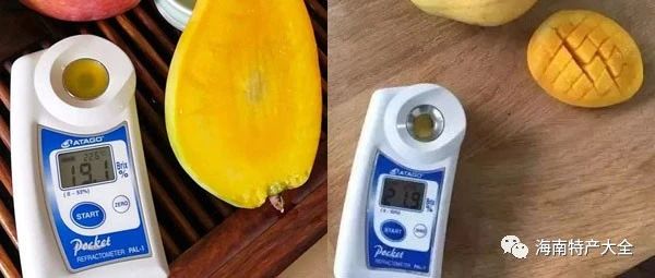 貴妃芒與臺農(nóng)芒甜度對比 貴妃芒 VS 臺農(nóng)芒,誰才是你的最愛?