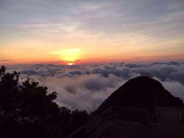 海南氣候 海南尖峰嶺沉香茶