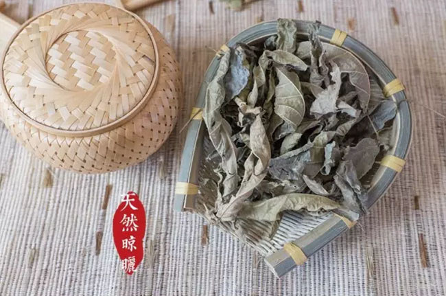 天然晾曬的鷓鴣茶葉 海南鷓鴣茶